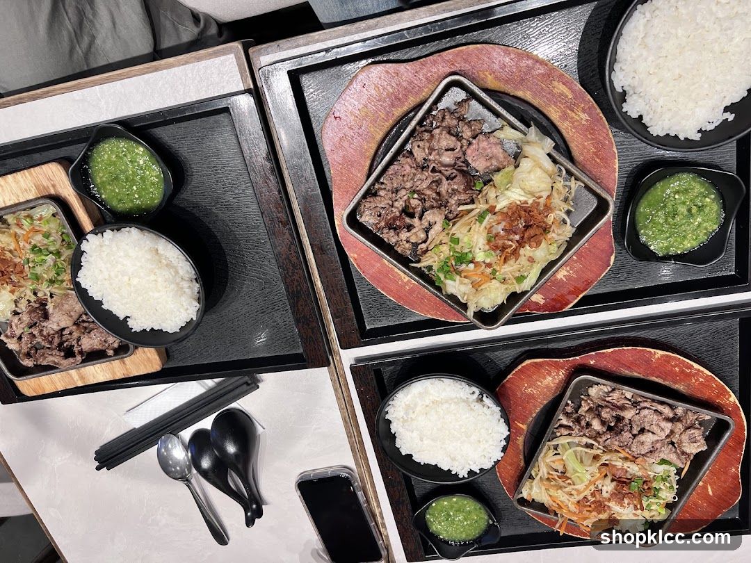 Sizzling Beef and Rice