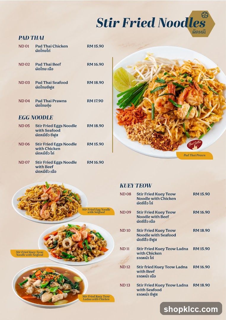 Stir Fried Noodles