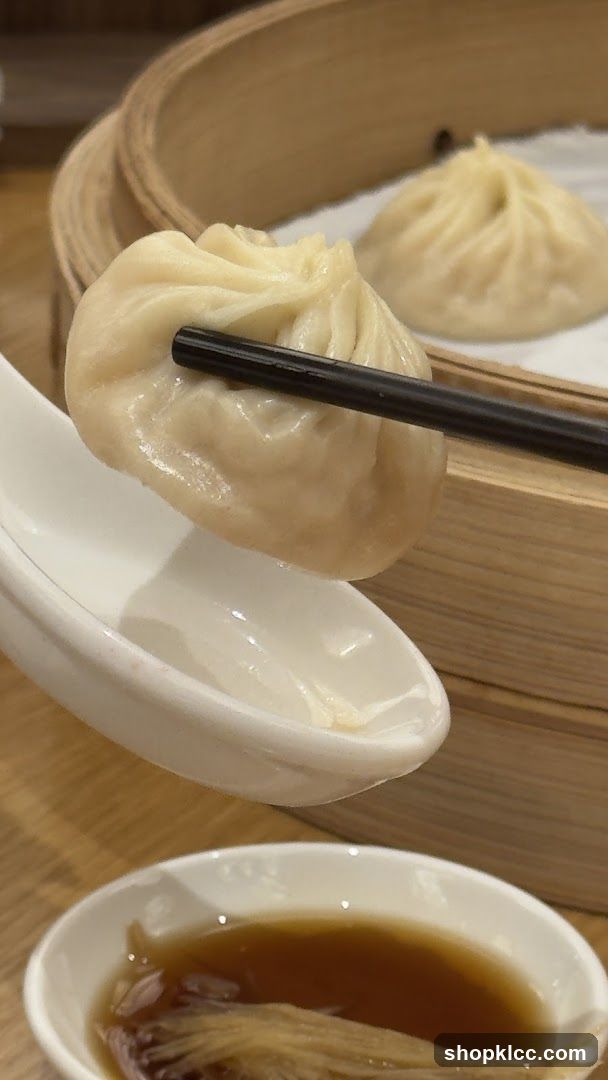 Soup Dumpling