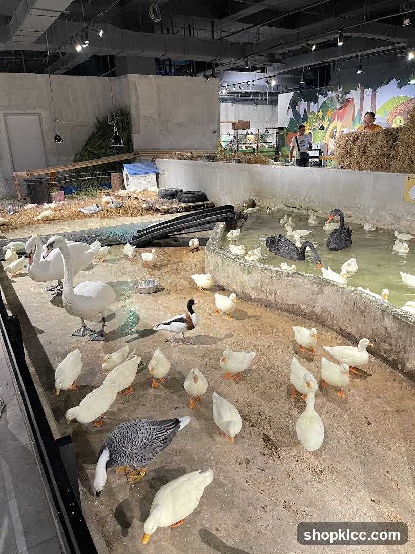 Just Farm @ Just Pets Megastore (Kota Damansara)