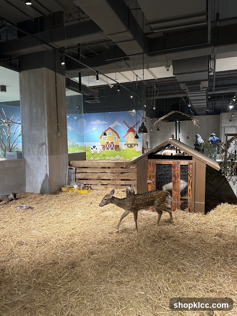 Indoor petting zoo with deer and goats