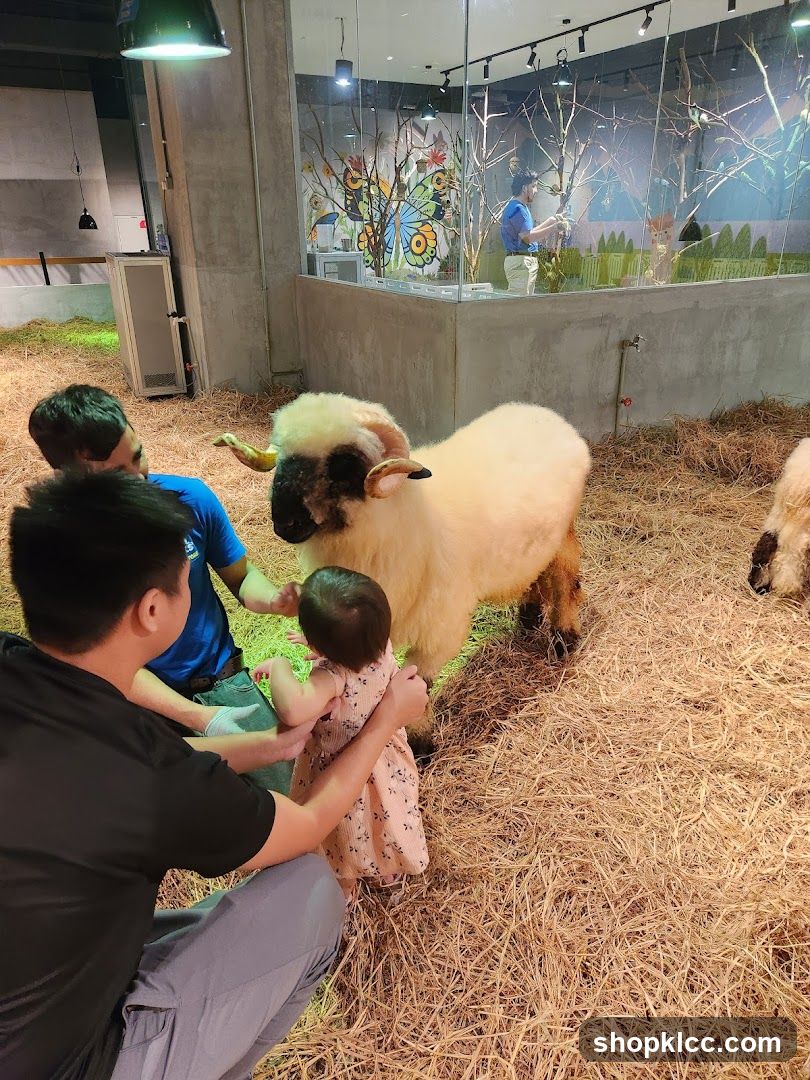 People interacting with a sheep