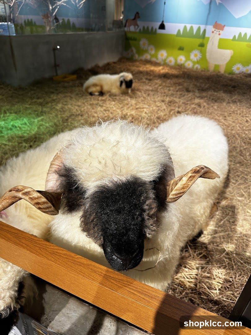 Sheep enclosure