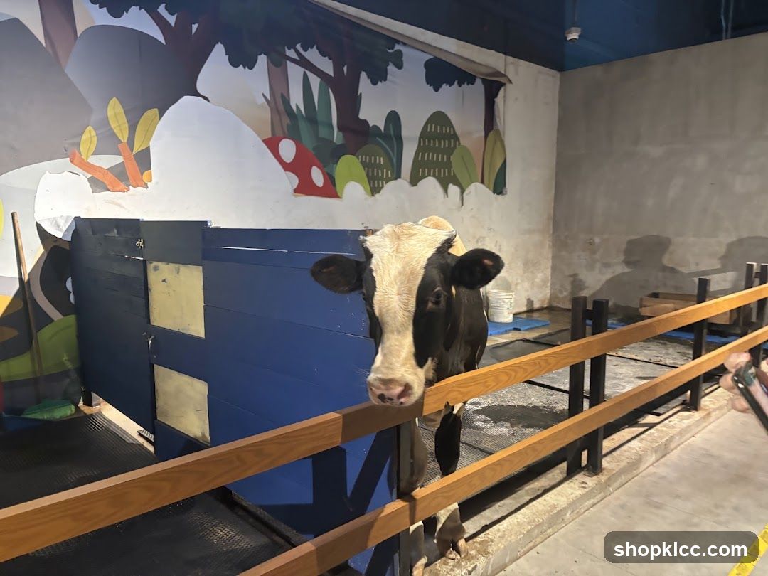 Cow in enclosure
