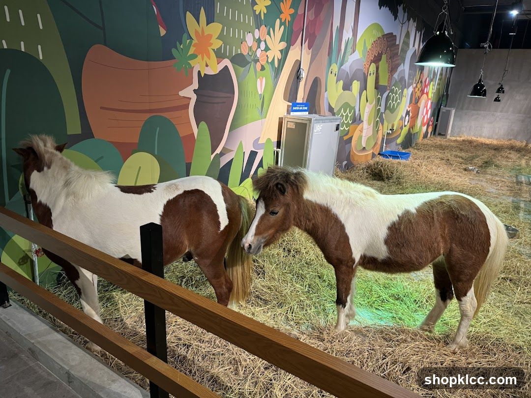 Ponies in an enclosure