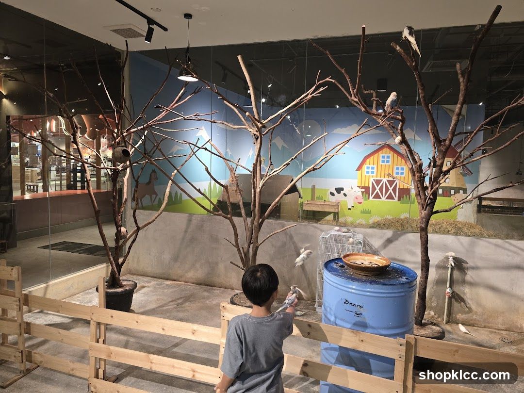 Interactive Bird Exhibit
