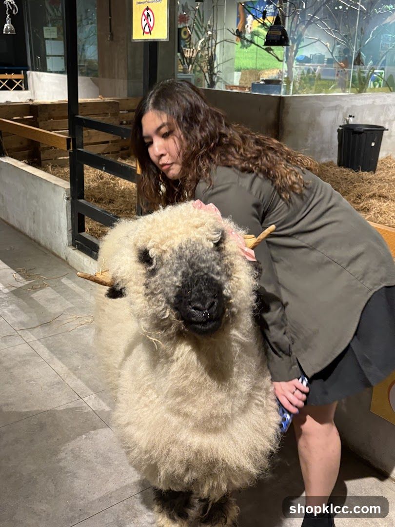 Woman interacting with a sheep