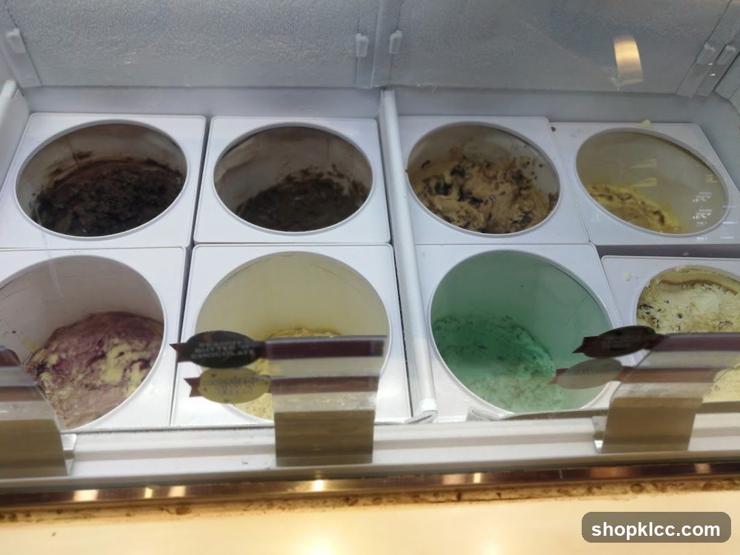 Ice Cream Display Case