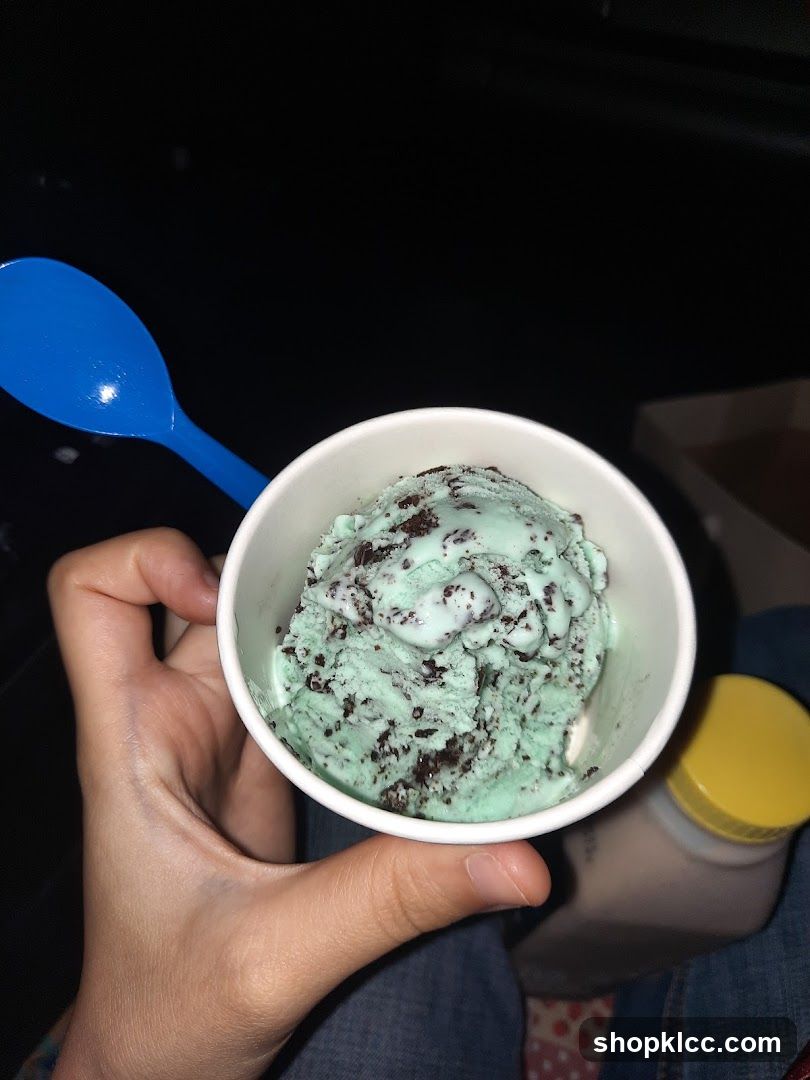Mint Chip Ice Cream Cup