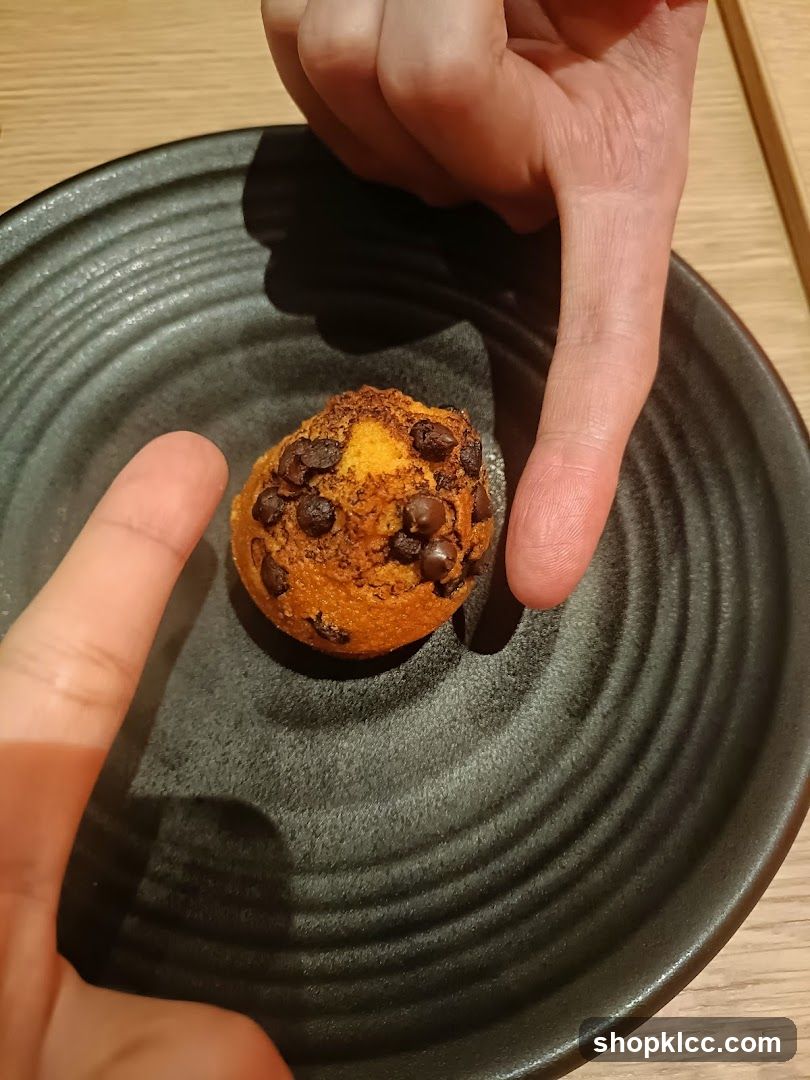 Chocolate Chip Muffin