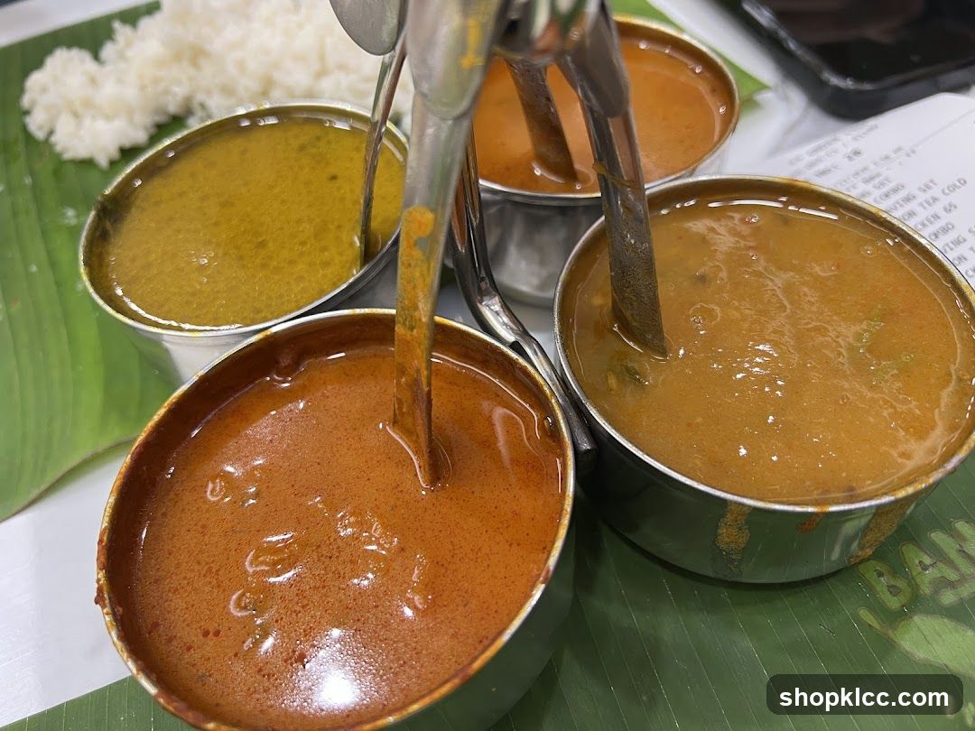 Indian Curries and Rice
