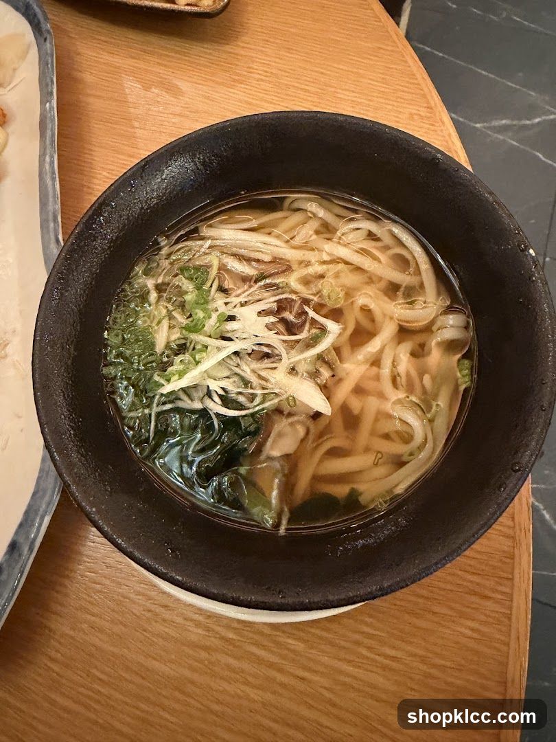 Noodle Soup