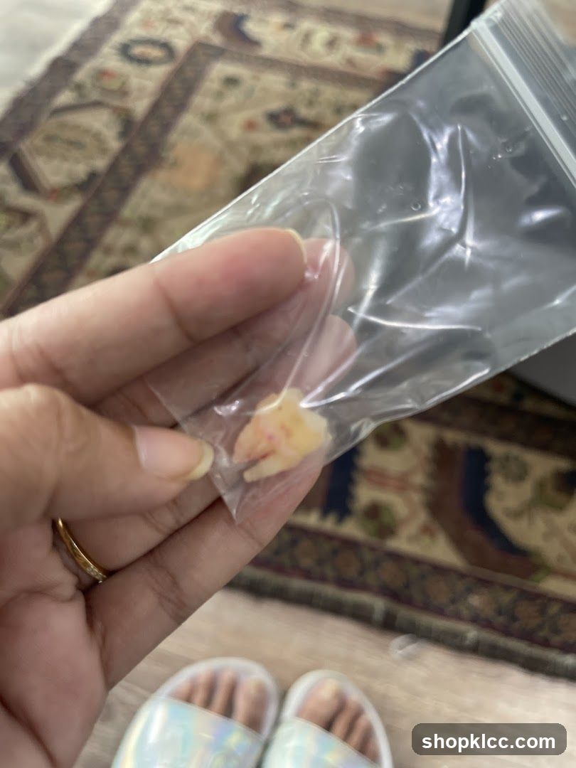 Tooth in a Bag