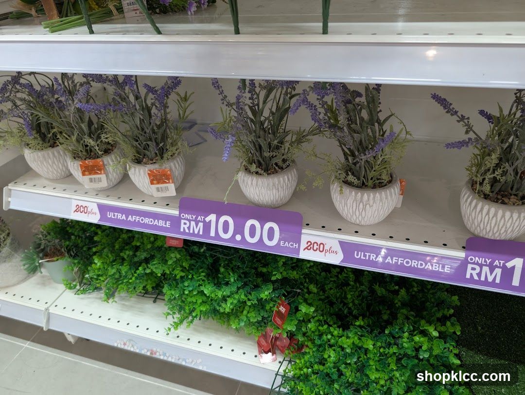 Eco-Plus
