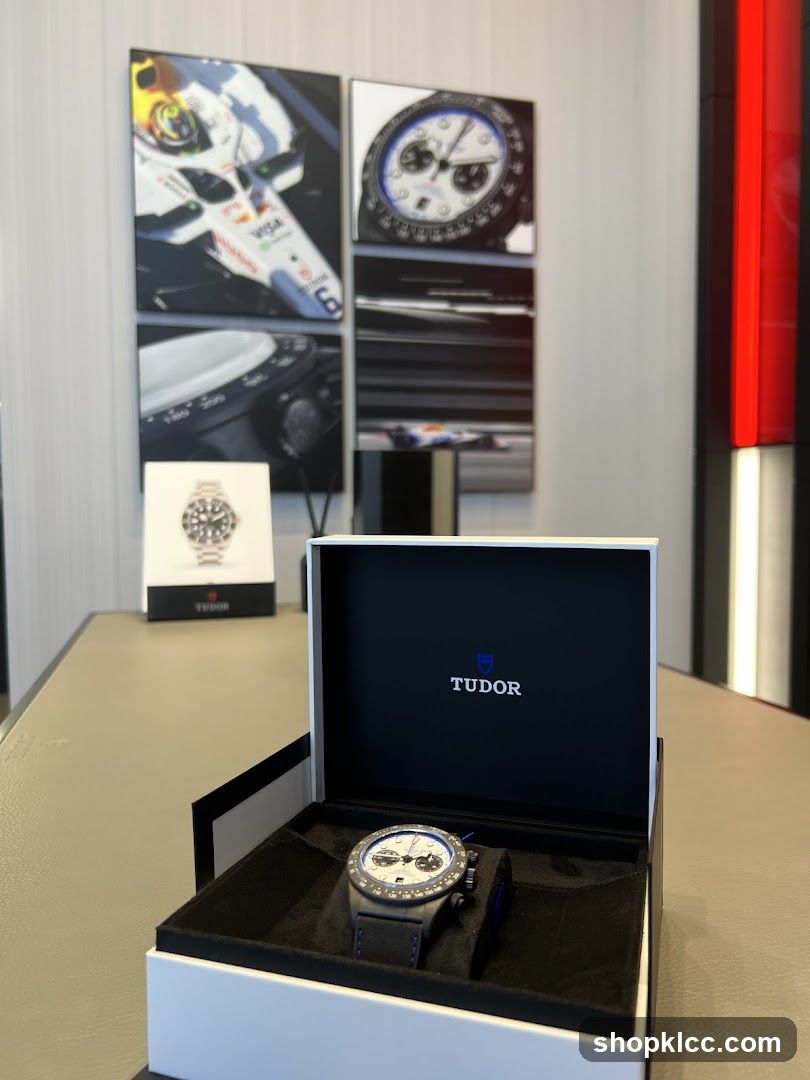 Tudor Watch Display