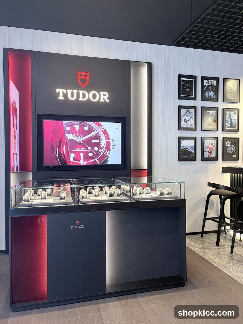 Tudor Watch Display