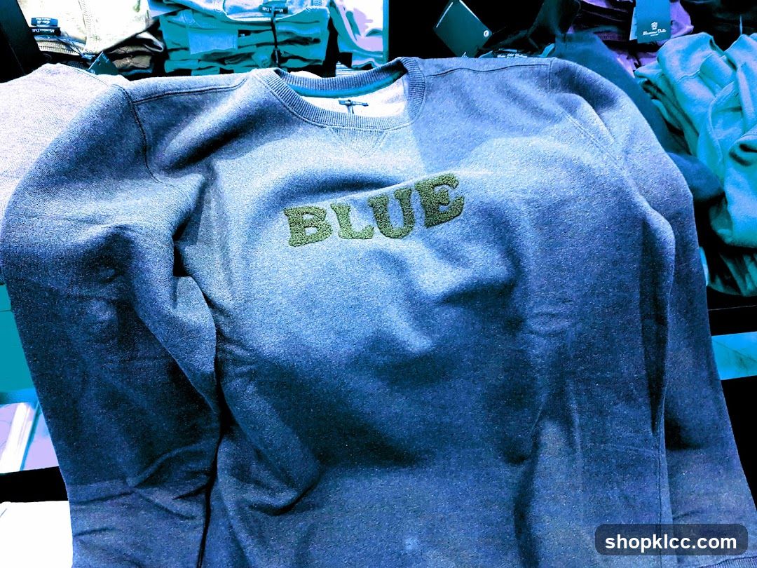 Blue Sweatshirt