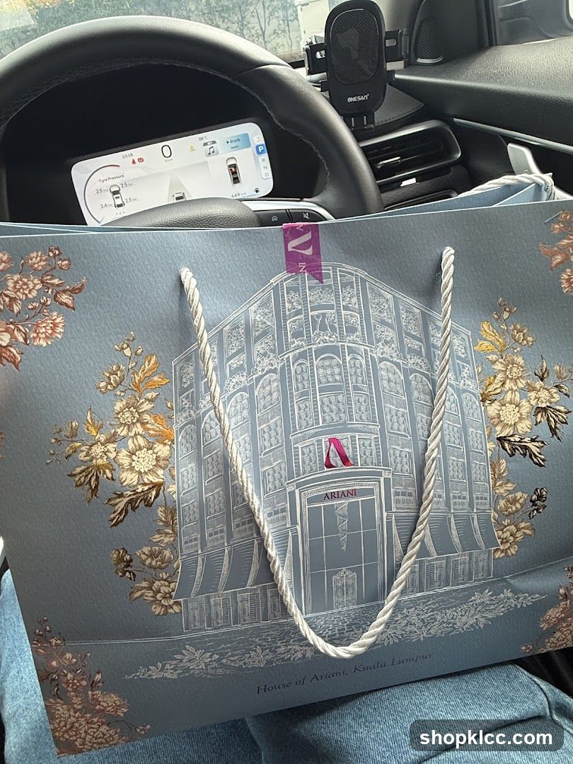 Shopping Bag in Car