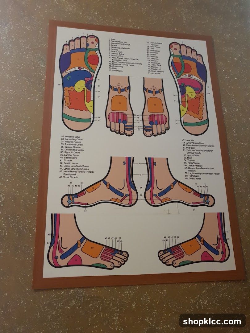 Foot Reflexology Chart