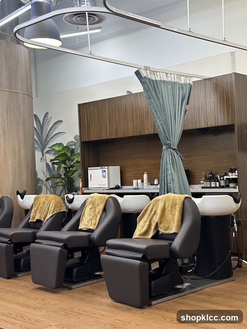 Hair Salon Wash Stations