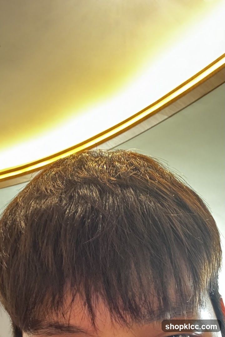 Close-up of person's hair and forehead