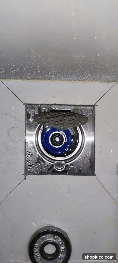 Floor Drain with Blue Component