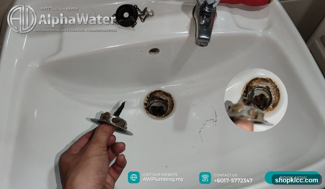 Plumbing Service Advertisement