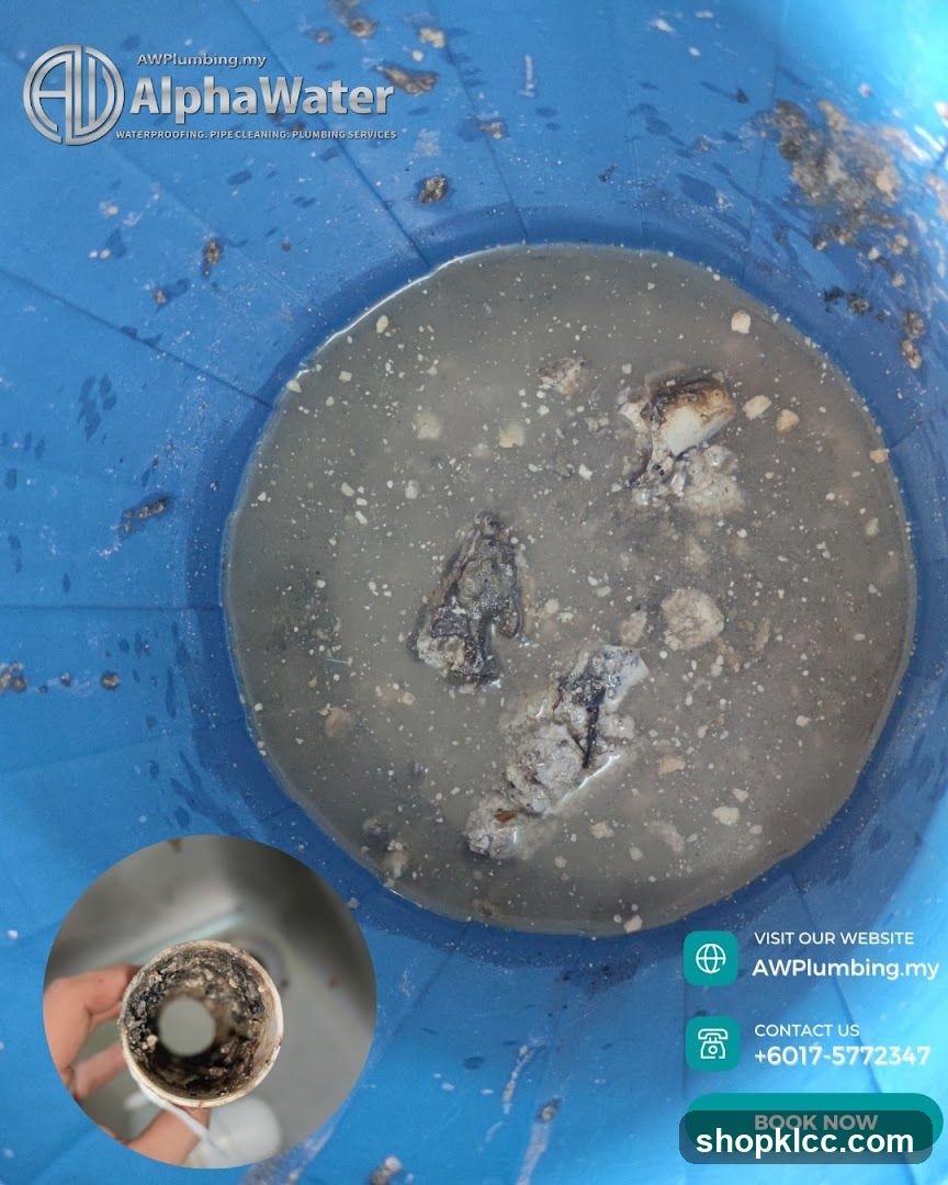 Plumbing Service Advertisement with Water Filtration Evidence