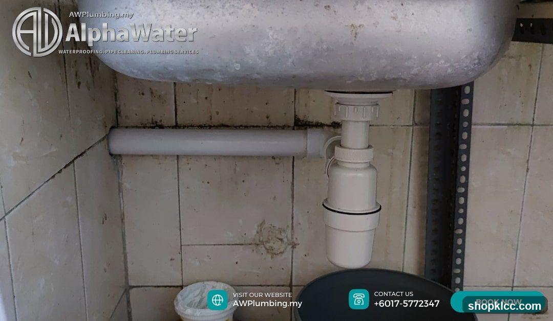 Under-sink plumbing inspection