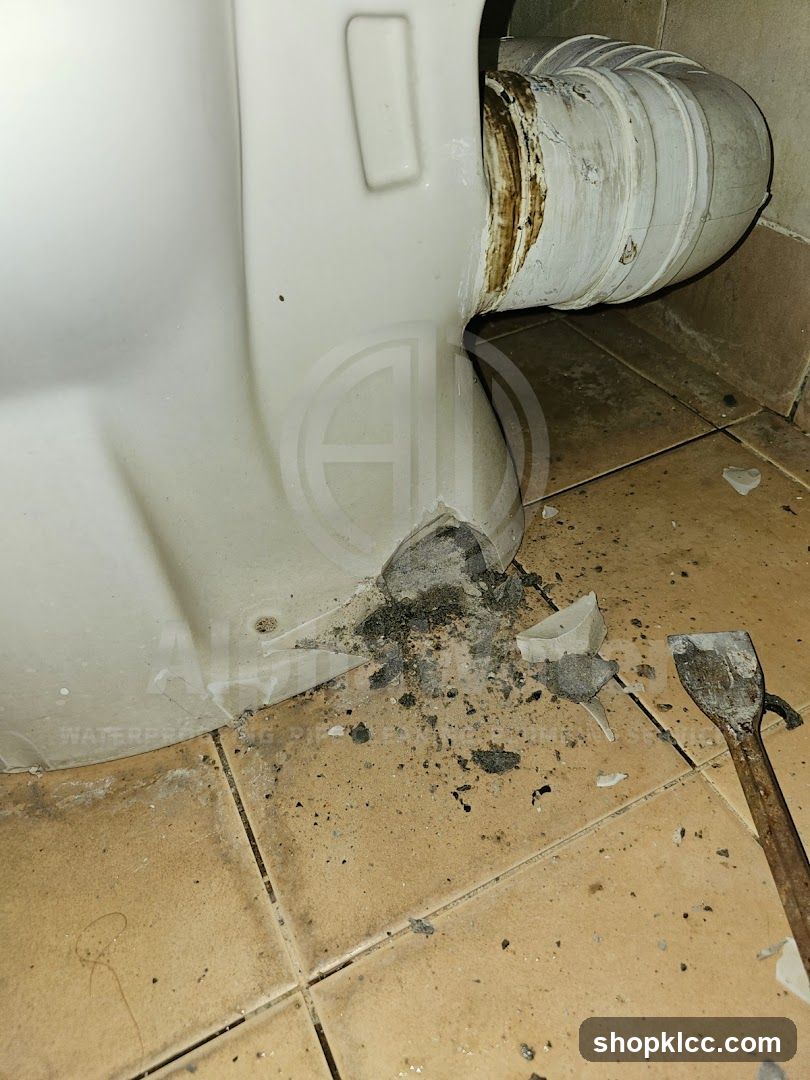 Toilet Base Disassembly