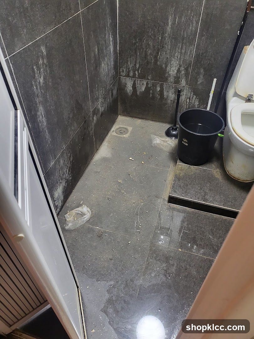 Dirty Bathroom Interior