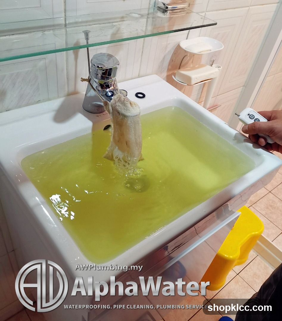 Plumbing Service Demonstration