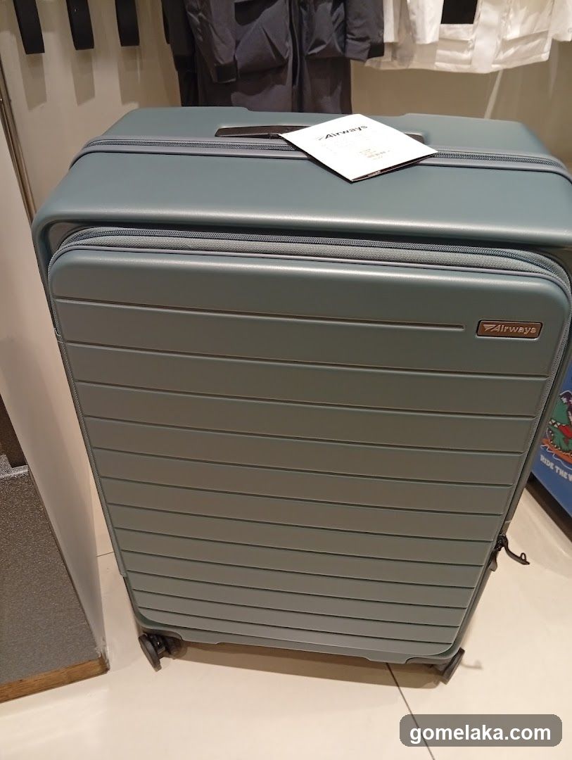 Airways Luggage Display