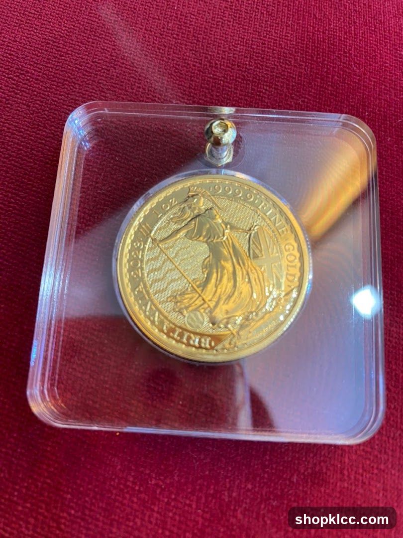 Gold Coin Display Case