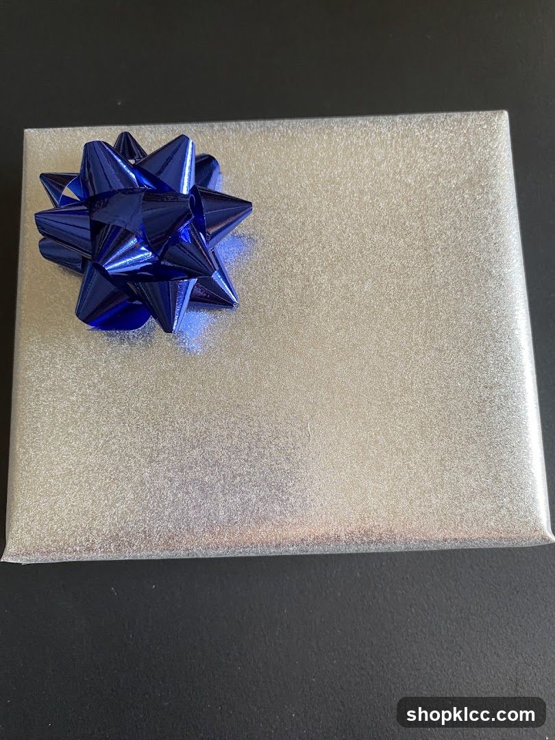 Gift Box with Blue Bow