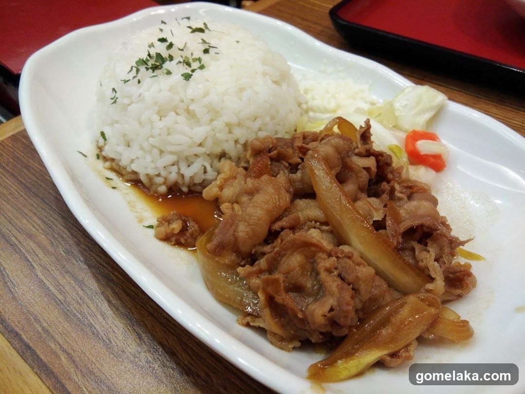 Rice and Meat Dish