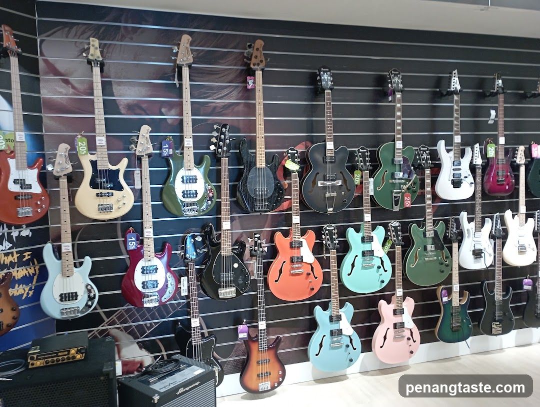 Guitars on Display