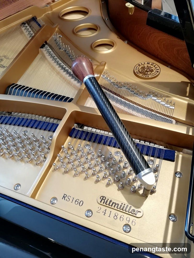 Grand Piano Interior
