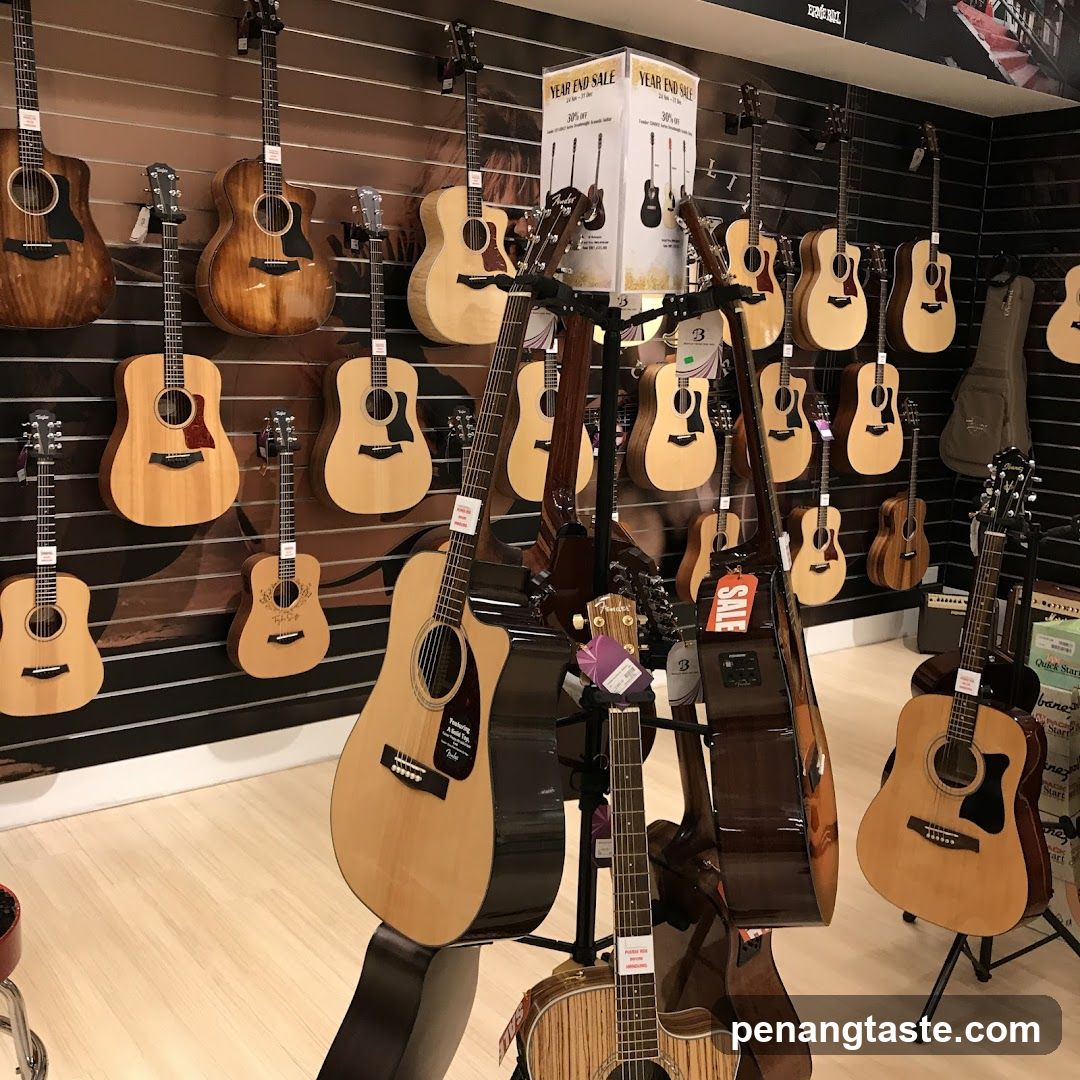 Guitars on Display
