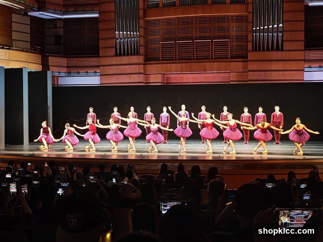 Ballet Performance