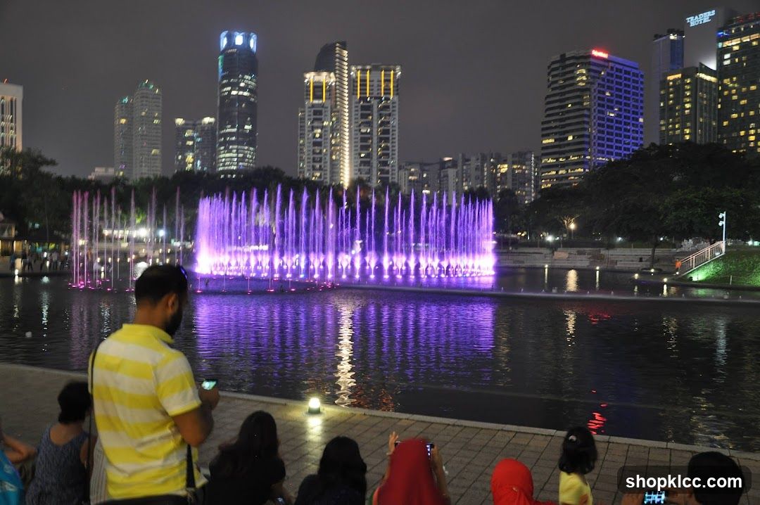 Nighttime Fountain Show with City Skyline