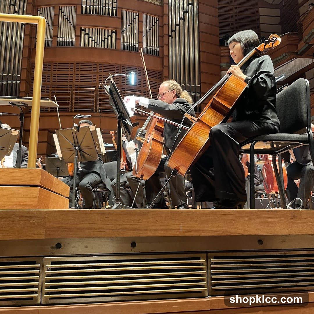 Orchestra Performance