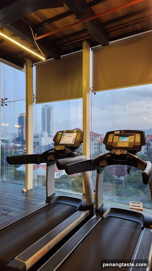 Gym Treadmills with City View