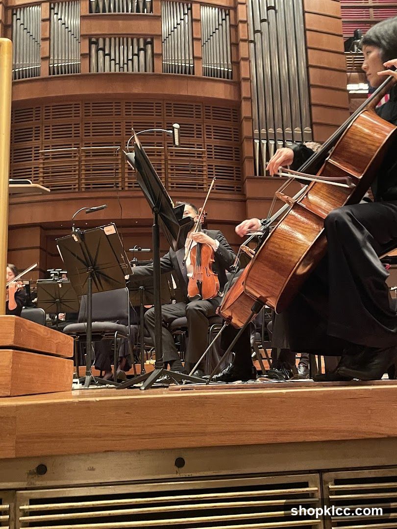 Orchestra Performance