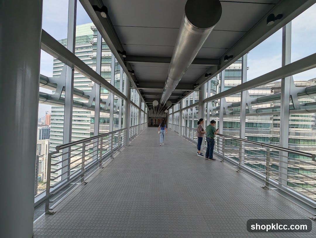 Skybridge with City View