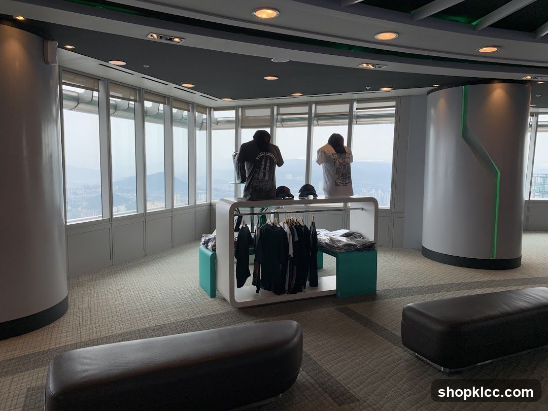 Clothing display with city view