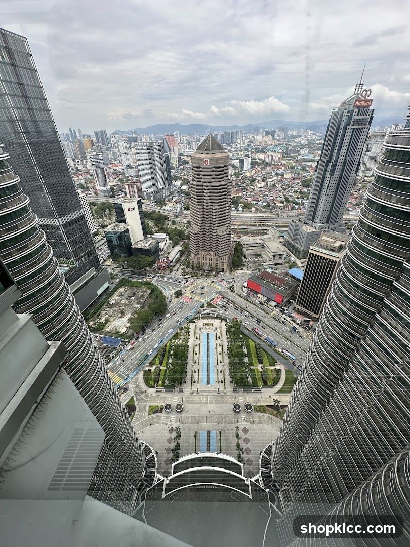 Cityscape with Skyscrapers and Park