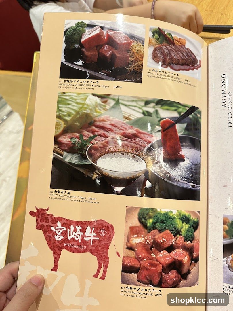 AGEMONO FRIED DISHES