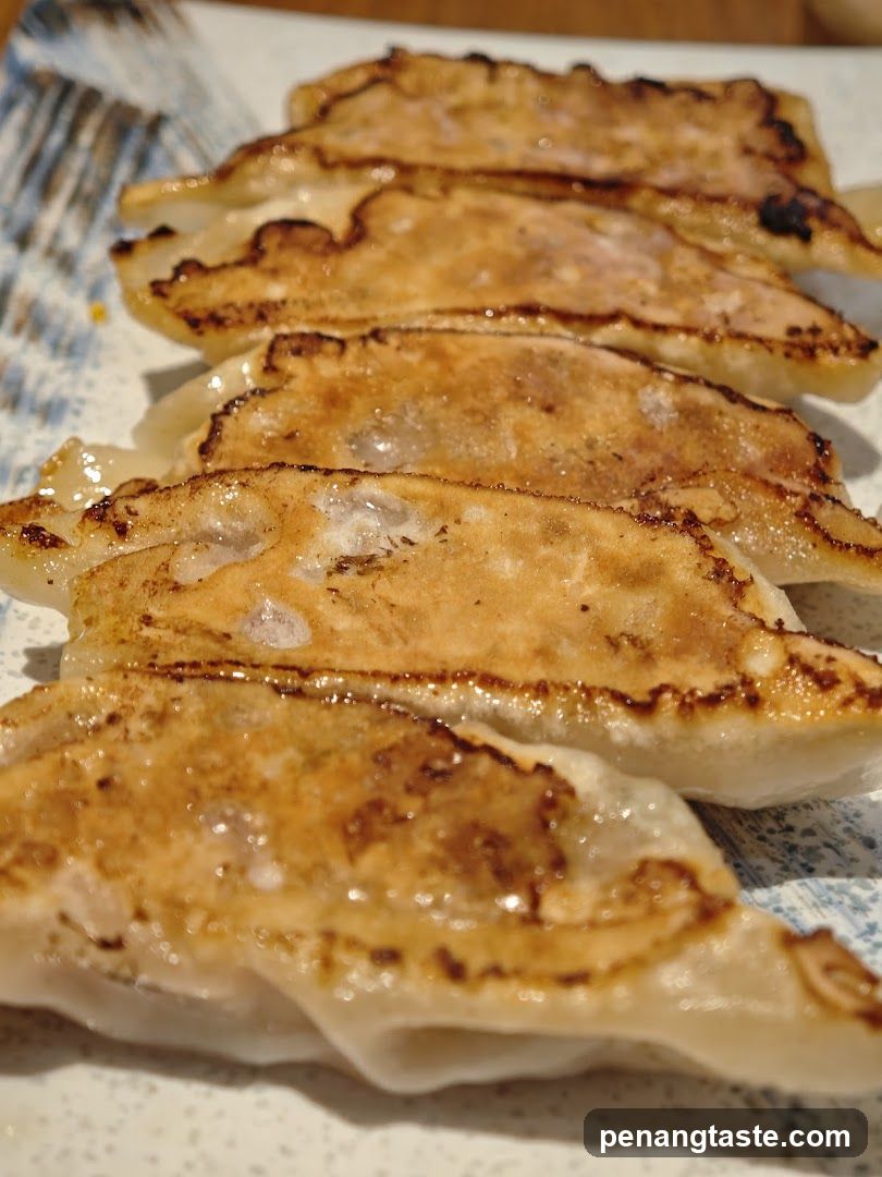 Pan-fried dumplings