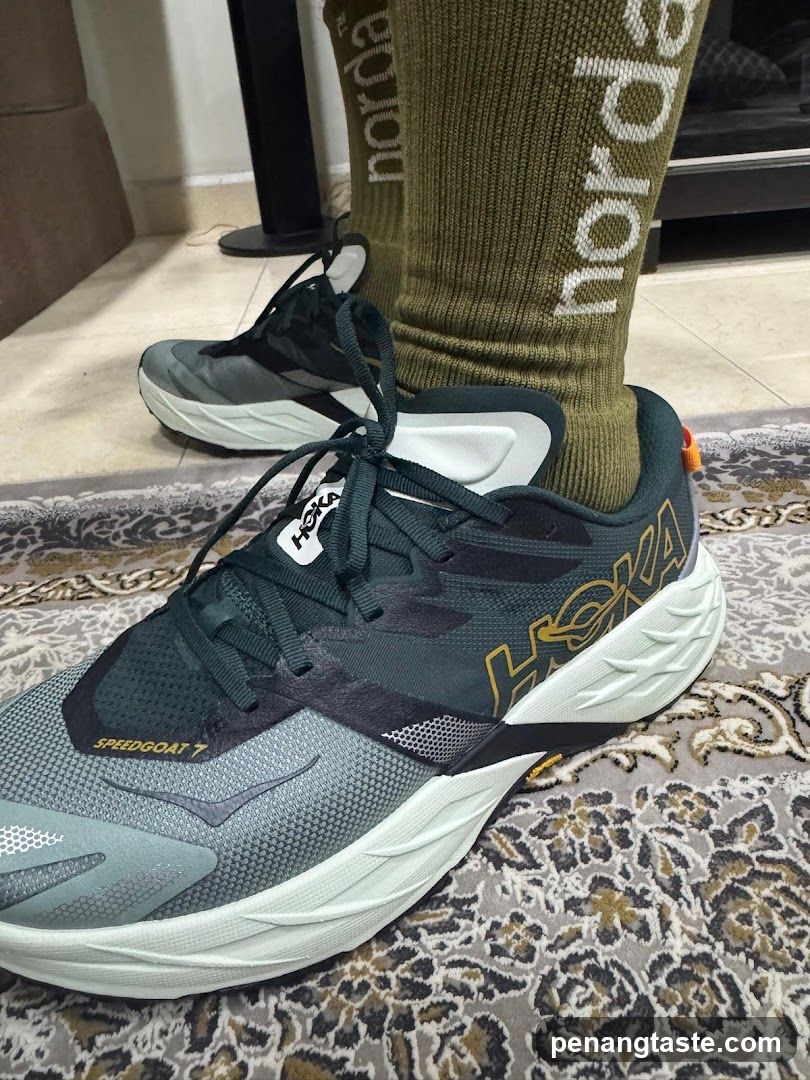 Hoka Speedgoat 7 Running Shoes